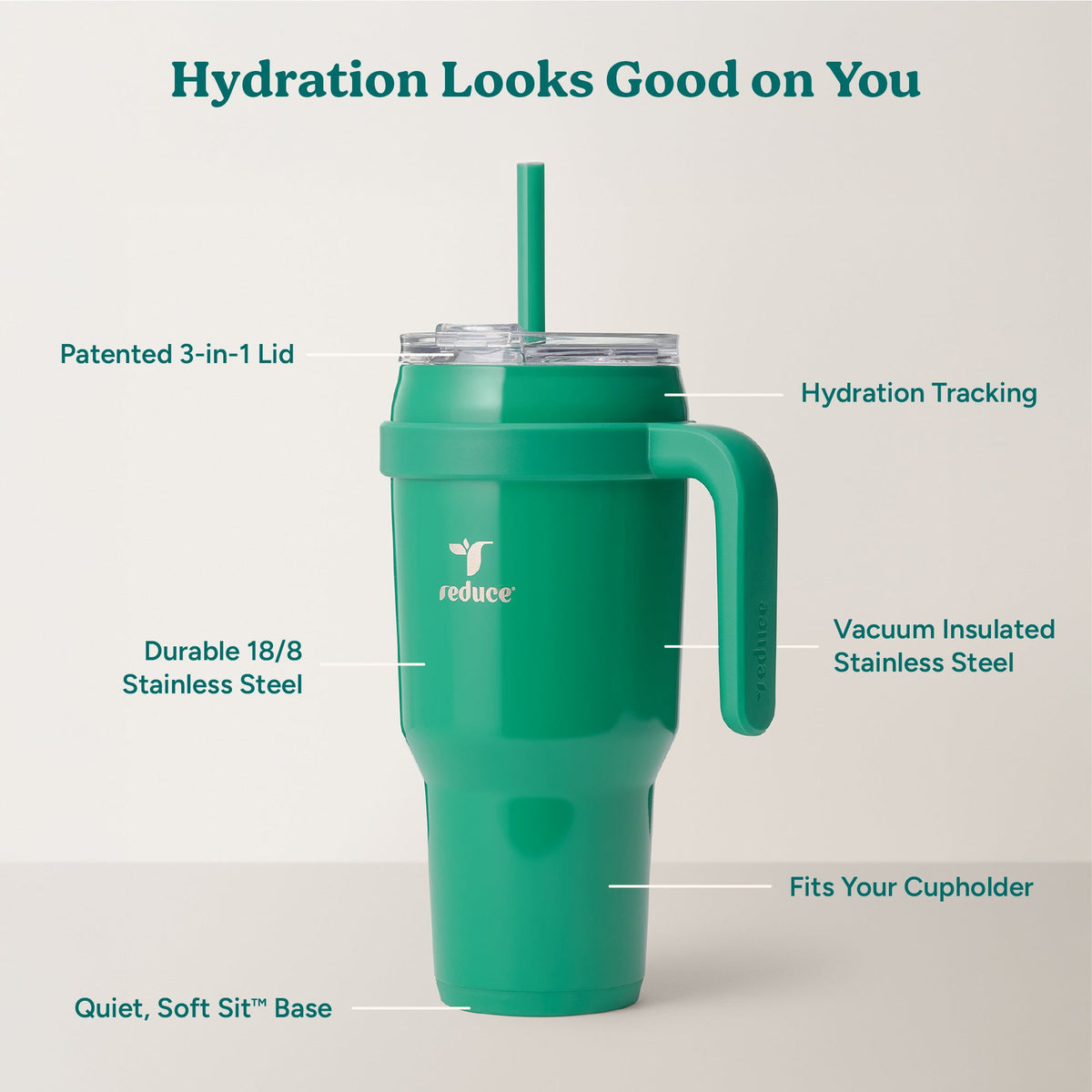 cold1-40-oz-p5 Cold1_40oz_PalmLeaf_Infographic_2.jpg