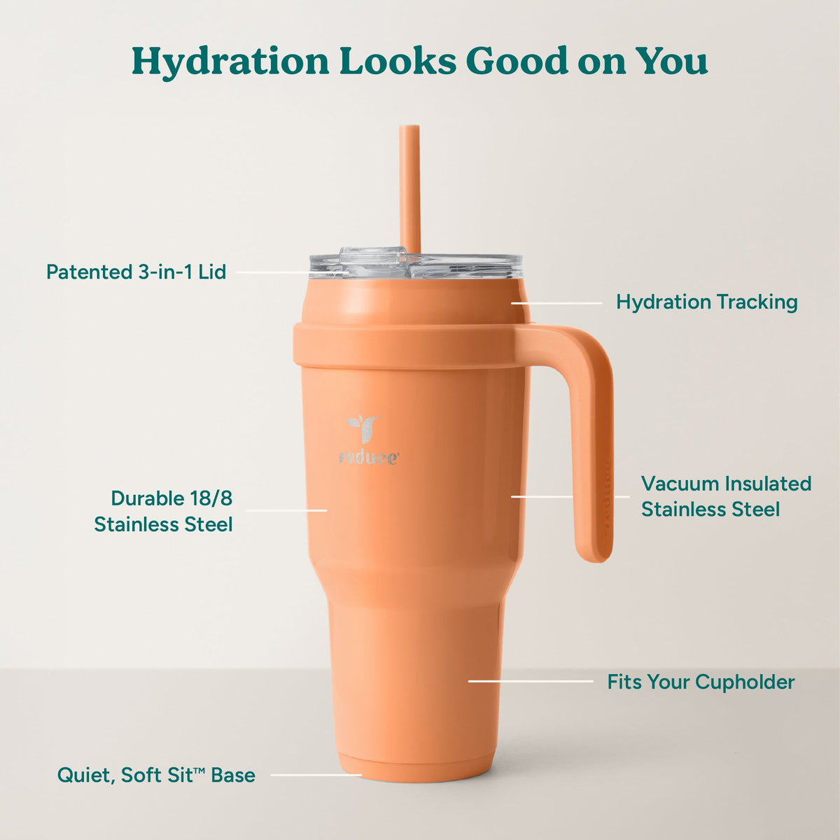 cold1-40-oz-p5 Cold1_40oz_Papaya_Infographic_2.jpg